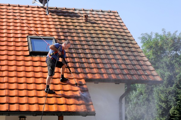 Why Professional Roof Cleaning Is Beneficial For Your Home